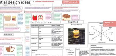GCSE Food controlled assessment – Initial ideas EXEMPLARS