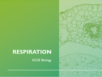 GCSE respiration powerpoint