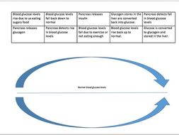 AQA Biology B5 Blood glucose negative feedback worksheet | Teaching