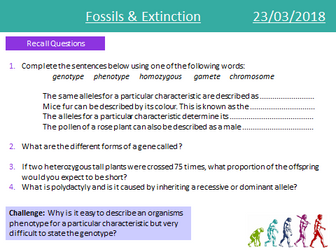 Fossils & Extinction