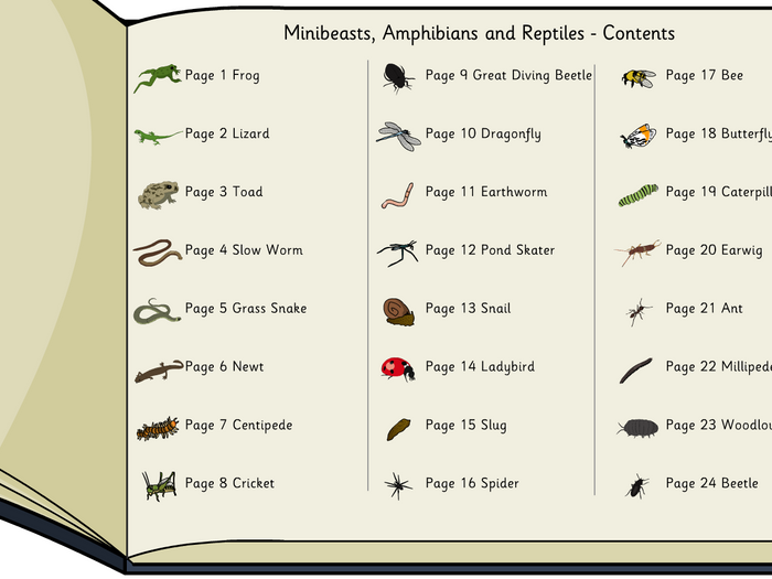 reptiles ks1