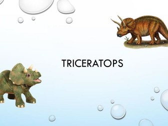 Triceratops info