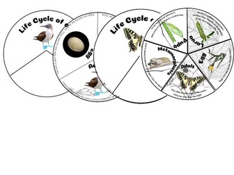 Year 5 Life Cycles | Interactive Life Cycle Wheels | Mammal, Amphibian, Bird & Insect | Science