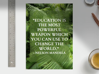 Positive Quote Display Posters - Green Rainforest Theme