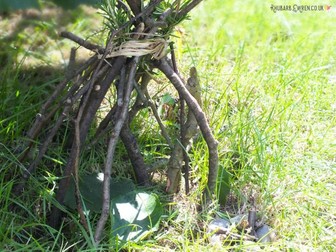 Year 2, Bog Baby, Outdoor Learning: expanded noun phrases