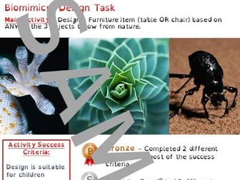 Biomimicry Design Task Worksheet - Cover