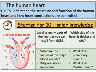 BTEC applied science Unit 5 Heart