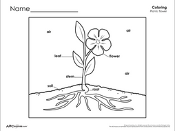 Spring Printables Collection