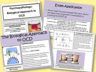 The Biological approach to OCD - Year 1 Psychopathology - AQA A level Psychology