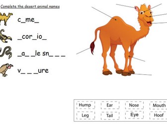 ESL-friendly identifying desert animals