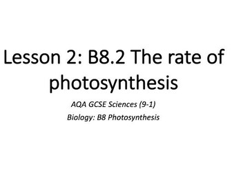 B8.2 The rate of photosynthesis