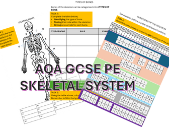 AQA GCSE PE - Skeletal system wordbook