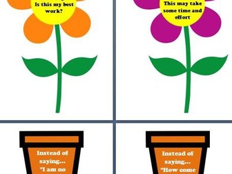 Grow your mindset plants and pots flowers growth mindset display