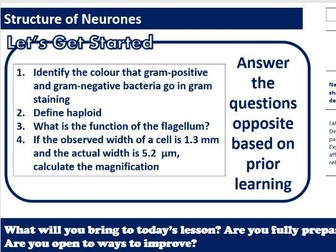 Neurones- AAQ Applied Science