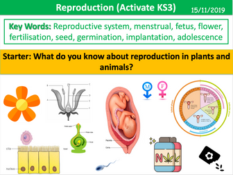 Reproduction (Activate KS3)
