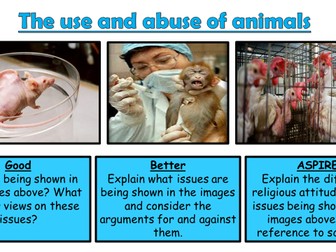 AQA A GCSE Theme B Religion and Life: Lesson 5 The use and abuse of animals