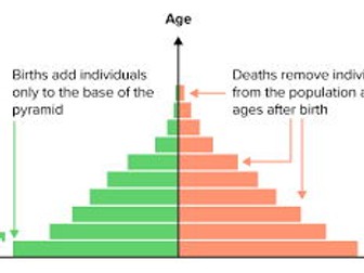 Cambridge iGCSE Geography - 1.3 Population Structure