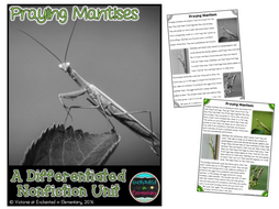 Differentiated Nonfiction Unit: Praying Mantises