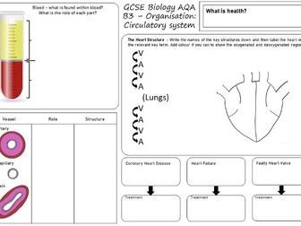 Circulatory system revision sheet - AQA GCSE Biology