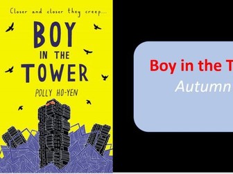 Lessons Covering One Week of Whole Class Reading (WCR)- The Boy in the Tower