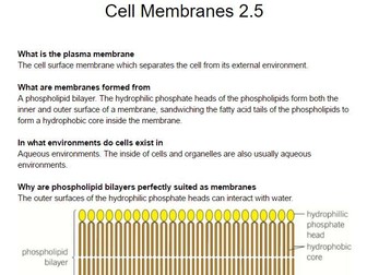 OCR Cell Membranes 2.5