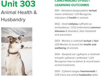 L3 Adv Tech Dip in AM : 303 Ani Health & Husbandry LO1