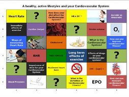 GCSE P.E. Learning Grid - Cardiovascular System