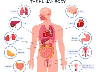 AAQ Unit 2 Human Biology & Health. Learning aim B