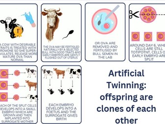 Animal Cloning Card sorts (3 sets)