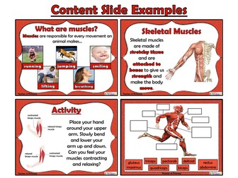 Muscle labeling worksheet picture