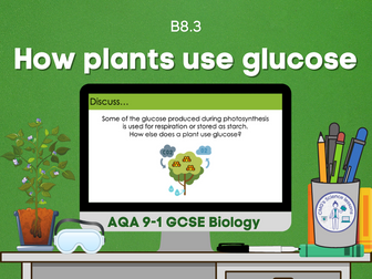 How plants use glucose