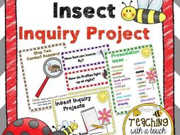 Insect Inquiry Project