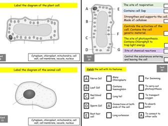 KS3 Science End of Year Revision Cards