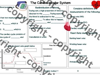 GCSE PE  Cardiovascular system knowledge organiser