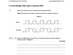 1.2 Carbohydrates (glucose, cellulose, starch, glycogen etc.) exam questions | A Level Biology AQA