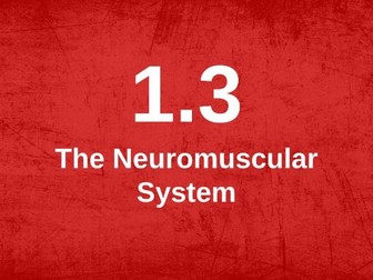 A level Physical Education: Neuromuscular system