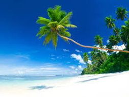 Descriptive Writing Describe A Beach Scene Lower Ability Ks3 Or Descriptive Writing Describe A Beach Scene Lower Ability Ks3 Or Ks4