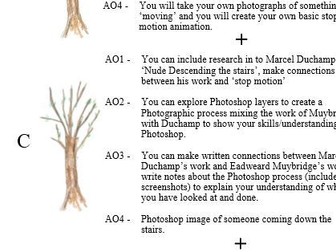 Differentiation tree.