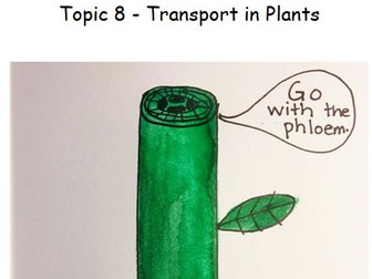 B8 Plant Transport IGCSE Biology Topic Booklet