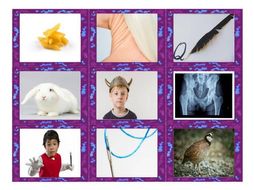 Phonics Consonant Letters m-n-q-r-v-x Photo Card Game