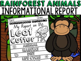 ANIMAL REPORT: RAINFOREST ANIMALS: INFORMATIVE WRITING: RESEARCH TEMPLATES