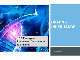 CIE-16.1- INHERITANCE - meiosis