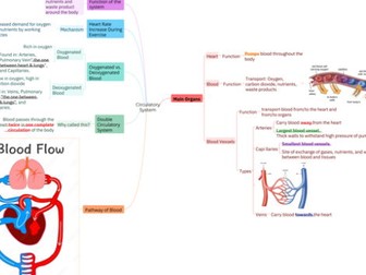 Cambridge Primary Science 6: 1.1 The Circulatory System Mind Map