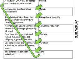 Types of reproduction | Teaching Resources