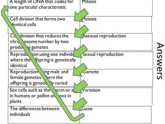 Types of reproduction