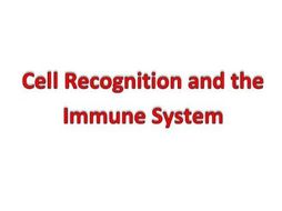 Cell Recognition and the Immune System
