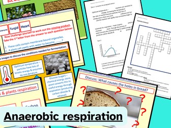 Anaerobic respiration in yeast and plants
