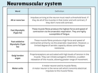 A-Level PE Neuromuscular System Vocabulary