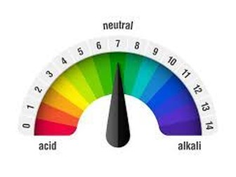 KS3 Acids and Alkalis