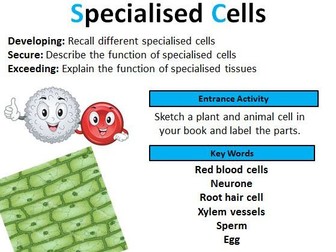 GCSE Biology: Specialized Cells (Lesson 9)